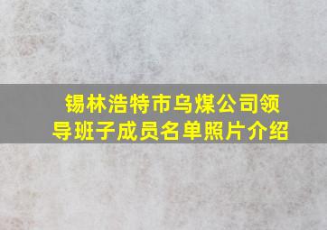 锡林浩特市乌煤公司领导班子成员名单照片介绍