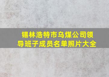 锡林浩特市乌煤公司领导班子成员名单照片大全