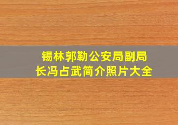 锡林郭勒公安局副局长冯占武简介照片大全