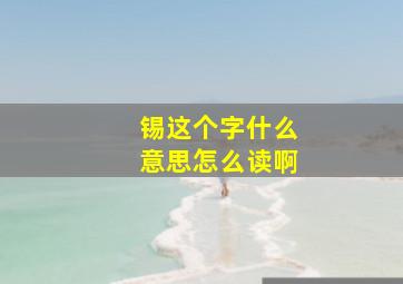 锡这个字什么意思怎么读啊