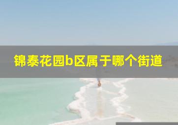 锦泰花园b区属于哪个街道