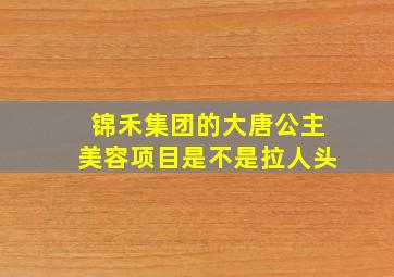 锦禾集团的大唐公主美容项目是不是拉人头