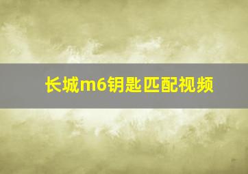 长城m6钥匙匹配视频