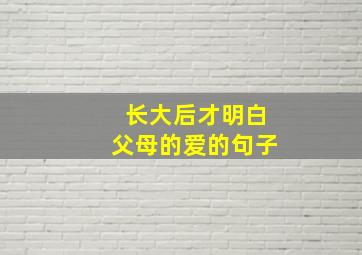 长大后才明白父母的爱的句子