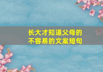 长大才知道父母的不容易的文案短句