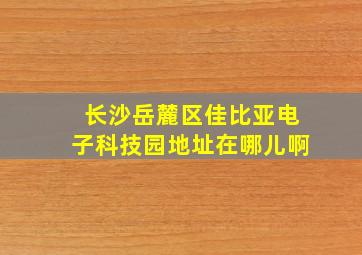 长沙岳麓区佳比亚电子科技园地址在哪儿啊