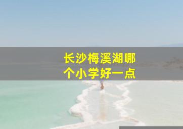 长沙梅溪湖哪个小学好一点