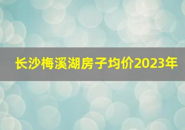 长沙梅溪湖房子均价2023年