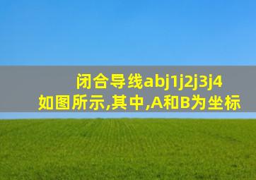 闭合导线abj1j2j3j4如图所示,其中,A和B为坐标