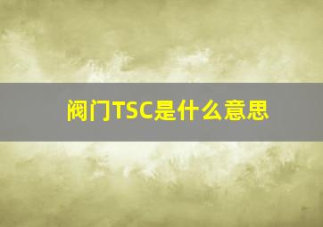 阀门TSC是什么意思