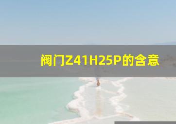 阀门Z41H25P的含意