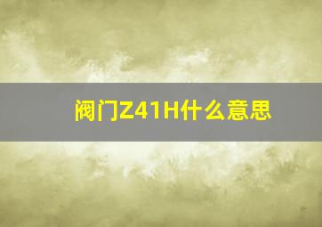 阀门Z41H什么意思