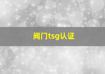 阀门tsg认证