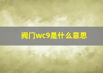 阀门wc9是什么意思