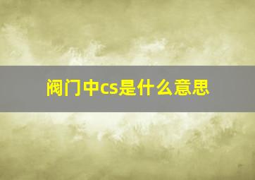 阀门中cs是什么意思