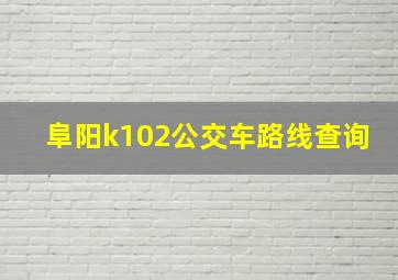 阜阳k102公交车路线查询