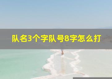 队名3个字队号8字怎么打