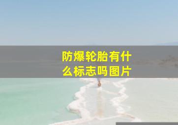 防爆轮胎有什么标志吗图片