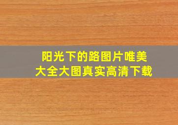 阳光下的路图片唯美大全大图真实高清下载