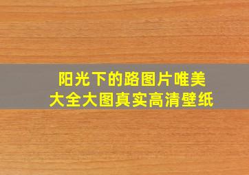 阳光下的路图片唯美大全大图真实高清壁纸