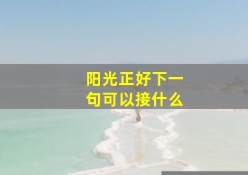 阳光正好下一句可以接什么