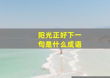 阳光正好下一句是什么成语