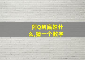 阿Q到底姓什么,猜一个数字