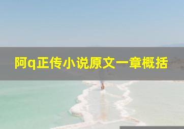 阿q正传小说原文一章概括