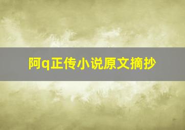 阿q正传小说原文摘抄