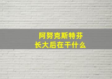 阿努克斯特芬长大后在干什么