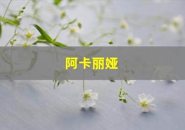 阿卡丽娅