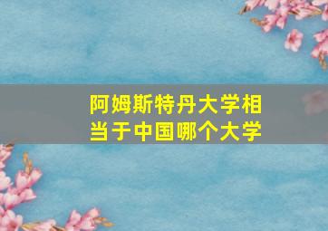 阿姆斯特丹大学相当于中国哪个大学