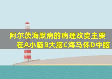 阿尔茨海默病的病理改变主要在A小脑B大脑C海马体D中脑