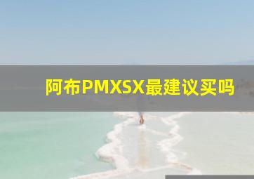 阿布PMXSX最建议买吗