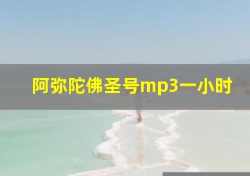 阿弥陀佛圣号mp3一小时