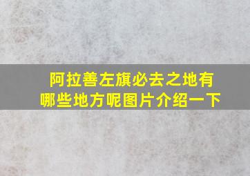 阿拉善左旗必去之地有哪些地方呢图片介绍一下