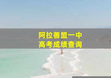 阿拉善盟一中高考成绩查询