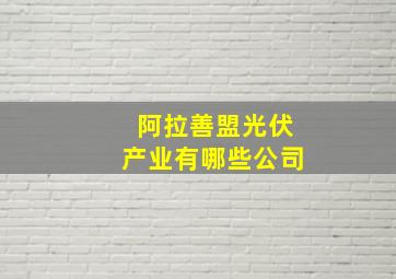 阿拉善盟光伏产业有哪些公司