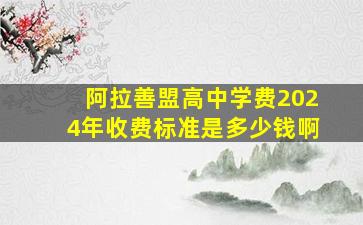 阿拉善盟高中学费2024年收费标准是多少钱啊