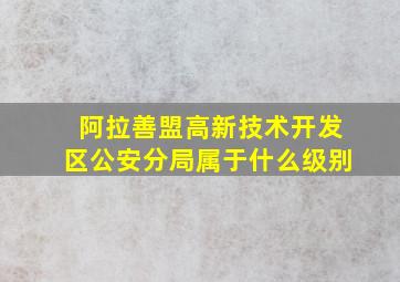 阿拉善盟高新技术开发区公安分局属于什么级别