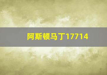 阿斯顿马丁17714