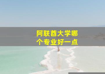 阿联酋大学哪个专业好一点