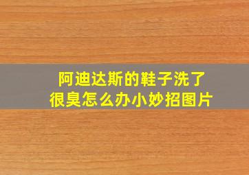 阿迪达斯的鞋子洗了很臭怎么办小妙招图片