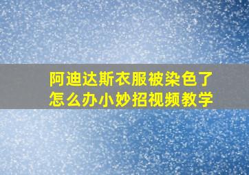 阿迪达斯衣服被染色了怎么办小妙招视频教学