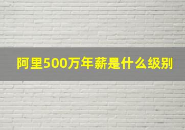 阿里500万年薪是什么级别