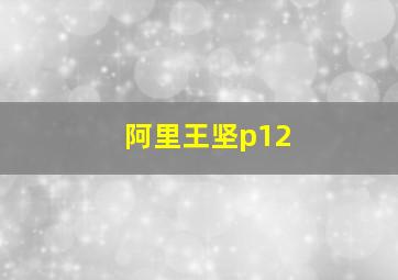 阿里王坚p12