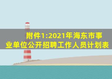 附件1:2021年海东市事业单位公开招聘工作人员计划表