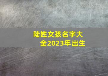 陆姓女孩名字大全2023年出生