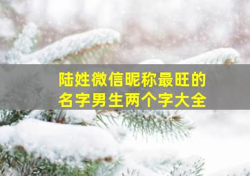 陆姓微信昵称最旺的名字男生两个字大全