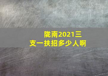 陇南2021三支一扶招多少人啊